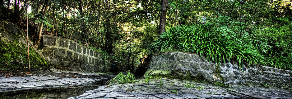 在线手机号轰炸网页版